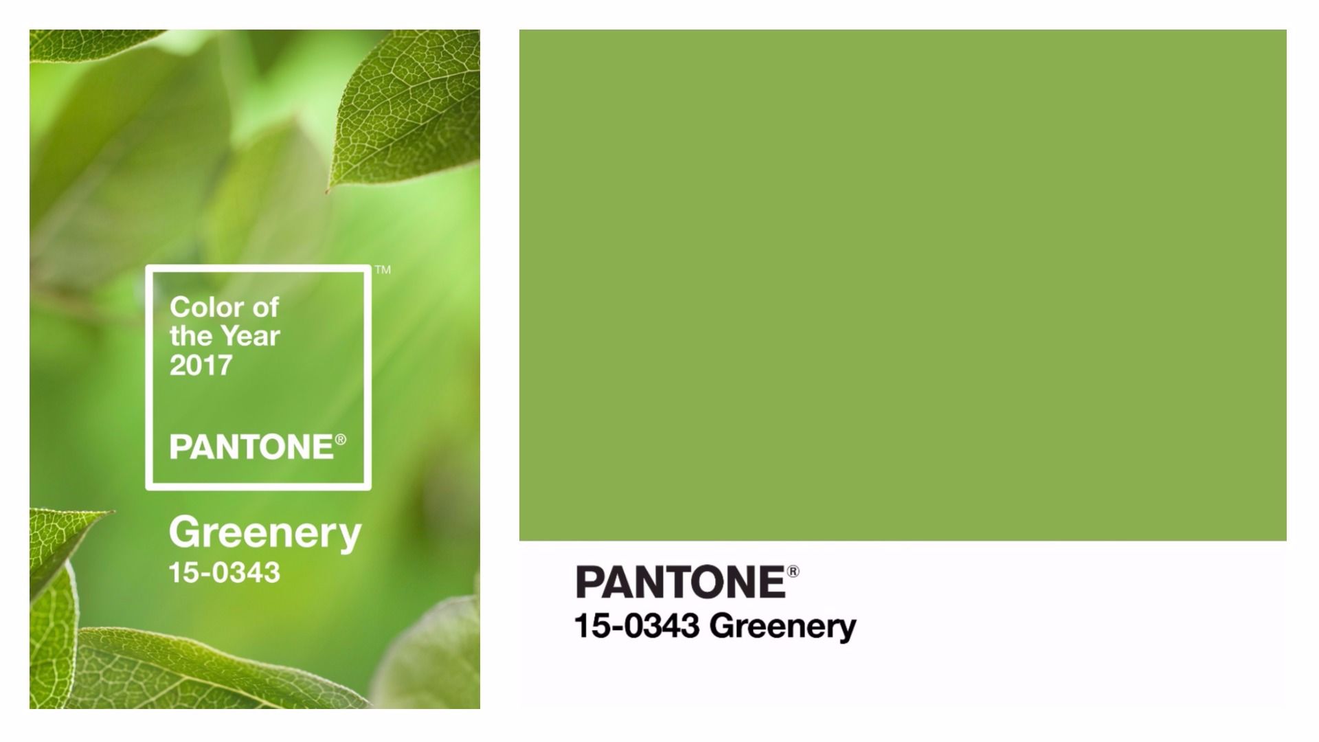 2017: Greenery